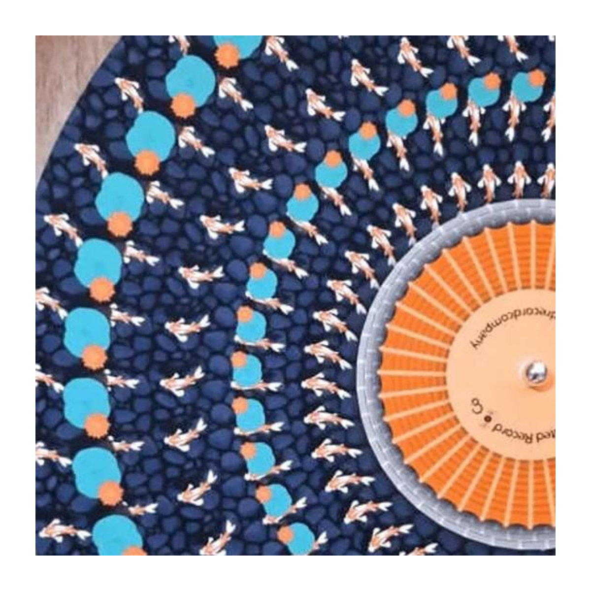 Pavo Animierte Zoetrope Slipmat für 12-Zoll Plattenspieler mit optischer Illusion und geometrischem Bewegungseffekt in Multicolor - Bild 5