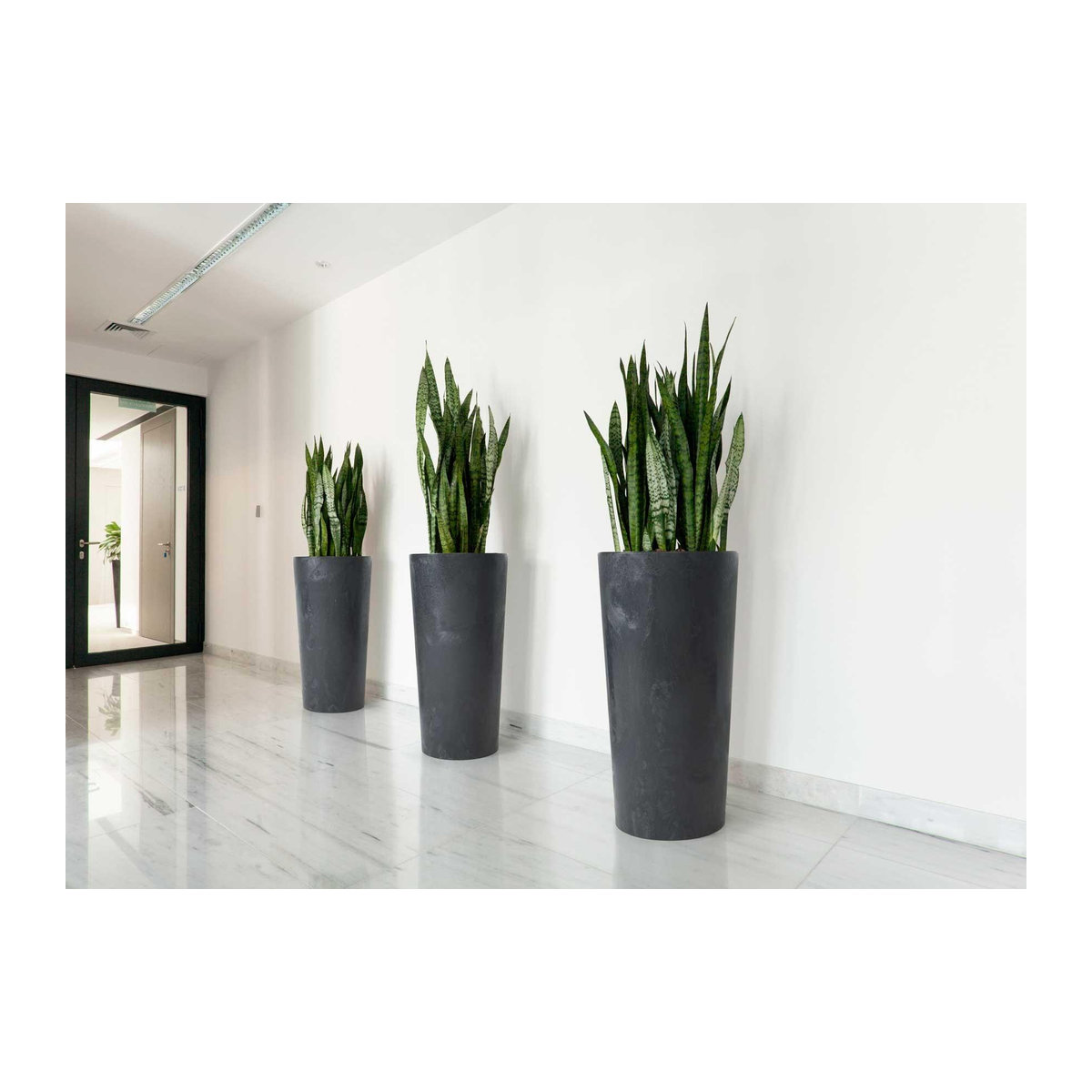 Pflanzgefäß Urbanika aus Beton in Schwarz, Höhe: 46 cm, Breite: 25 cm, Tiefe: 25 cm - Bild 4
