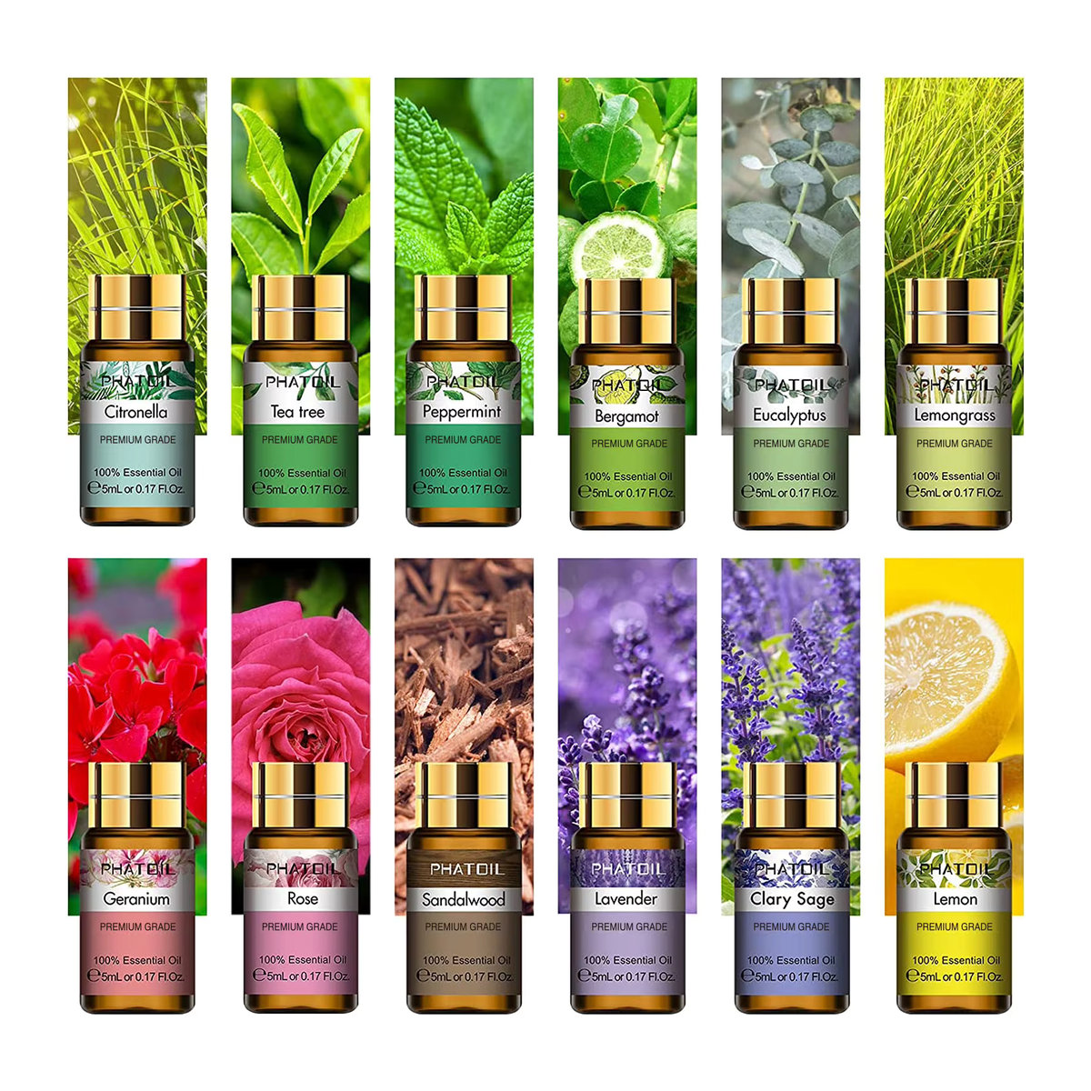 PHATOIL Geschenkbox mit 12 ätherischen Ölen für Diffusor und Massage, Set mit - Bild 2