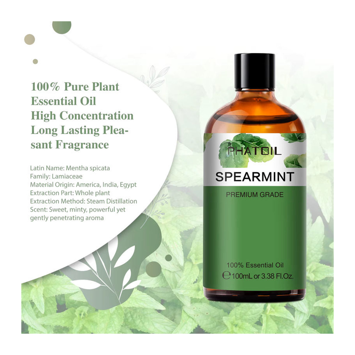 PHATOIL Reines ätherisches Spearmintöl 100ml für Diffusor und Luftbefeuchter - Bild 1