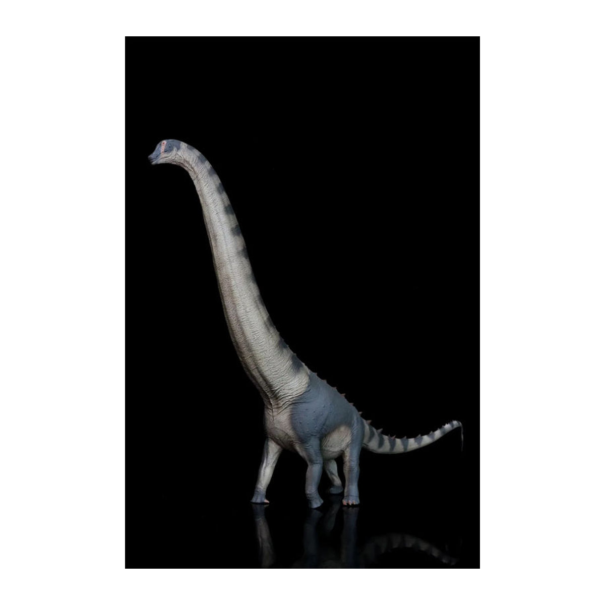 Pnso Dinosaurier Modell Alamo Saurus Samuel als wissenschaftliche Sammlerfigur in Grau aus Kunststoff - Bild 2