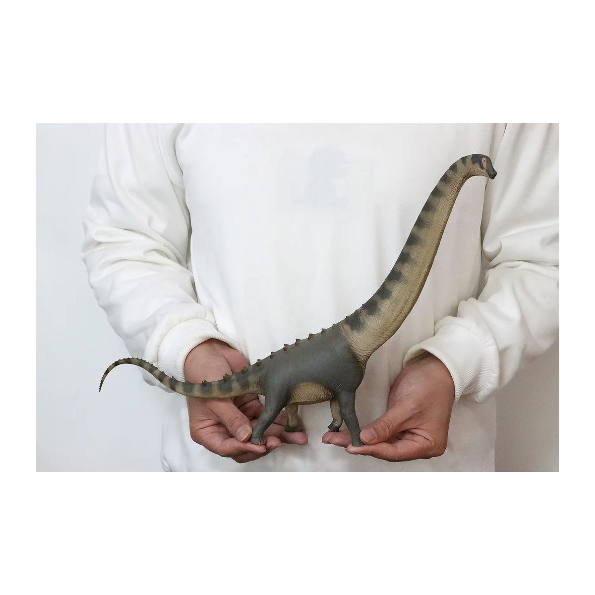 Pnso Dinosaurier Modell Alamo Saurus Samuel als wissenschaftliche Sammlerfigur in Grau aus Kunststoff - Bild 3