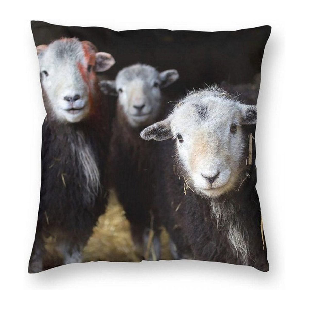 Quadratischer Kissenbezug mit Herdwick Schafe Motiv in einer Scheune aus Polyester-Leinen-Samt mit Reißverschluss, B/B/H: 18 x 18 x 18 cm - Bild 1