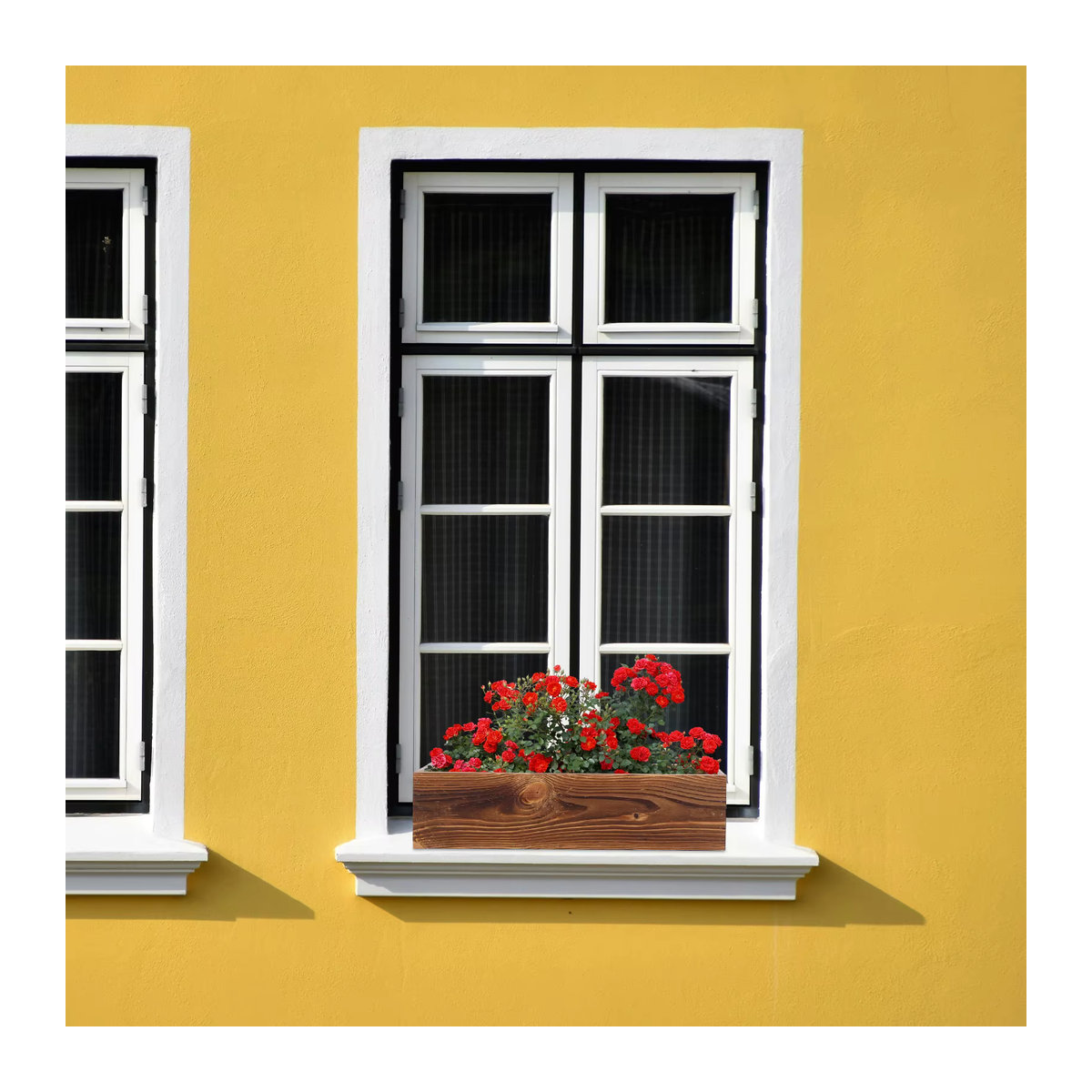 Rechteckige Pflanzkiste aus Zedernholz in Braun, B/T/H: 30 x 11 x 8,5 cm - Bild 4