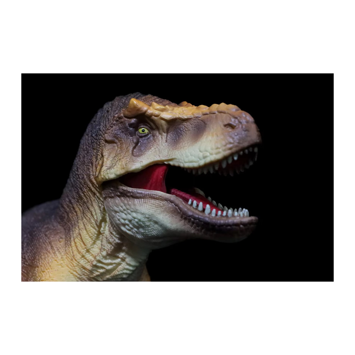 RECUR Tyrannosaurus Rex Modellfigur in Braun, 1/35 Dinosaurier Tierfigur aus Kunstharz - Bild 2