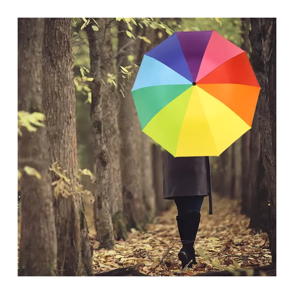 Regenbogen Regenschirm mit 10 Streben, faltbarer und winddichter Sonnenschirm für Sonne und Regen - Bild 5