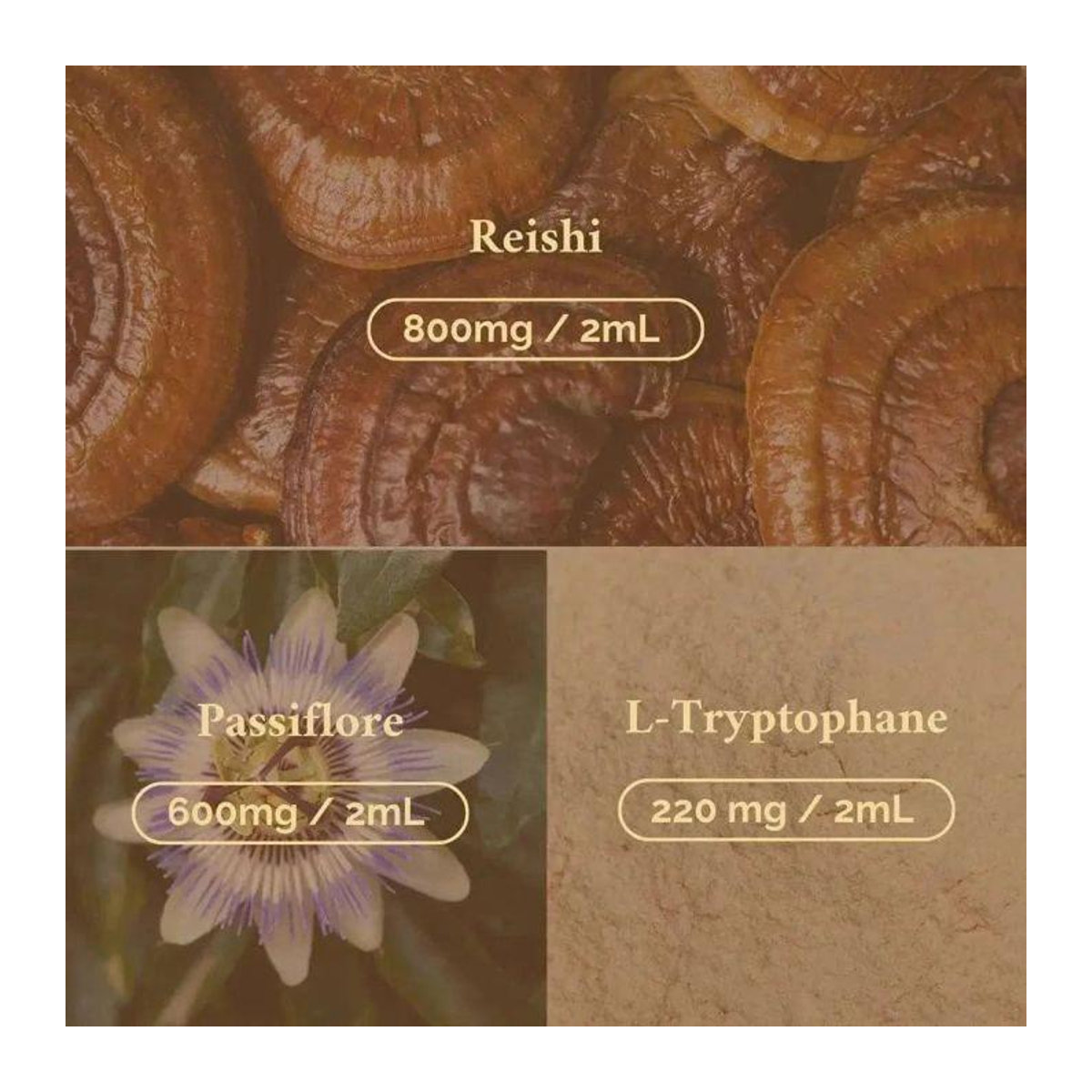 Reishi-Öl mit Passionsblume für deinen Schlaf, 2 Flaschen, CBD Certified - Bild 3