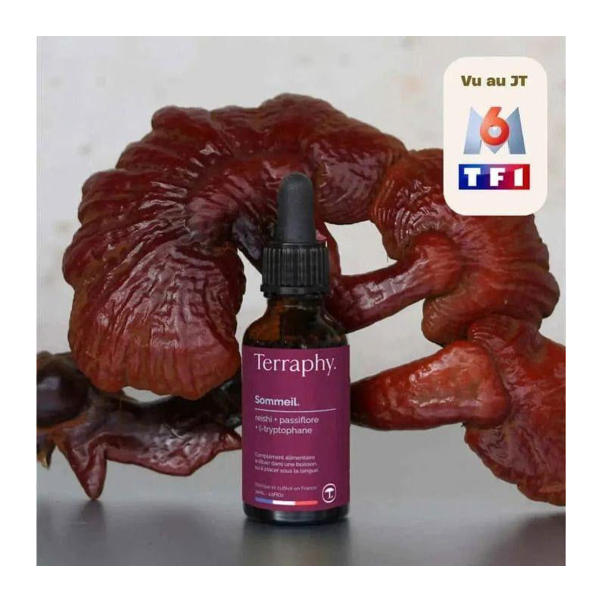 Reishi-Öl mit Passionsblume für deinen Schlaf, 2 Flaschen, CBD Certified - Bild 4