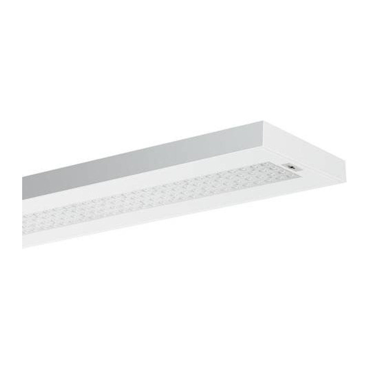 RIDI LED-Deckenleuchte aus Metall in Weiß im minimalistischen Design - Bild 1