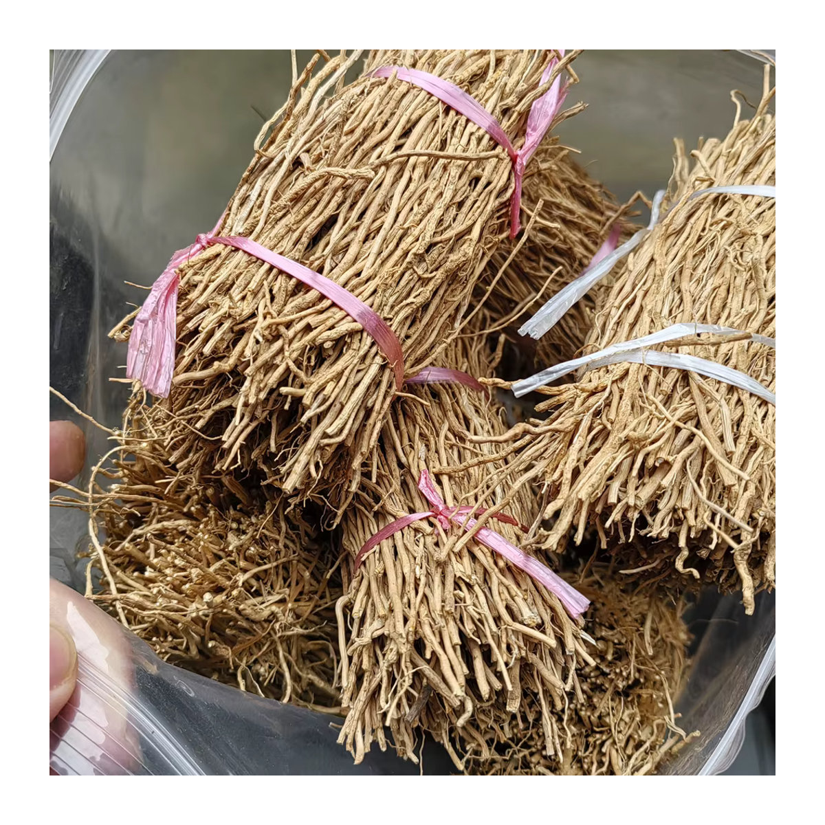 Rivercense Vetiver Räucherwerk aus getrocknetem Chrysopogon zizanioides Gras, 50 g, Braun - Bild 2