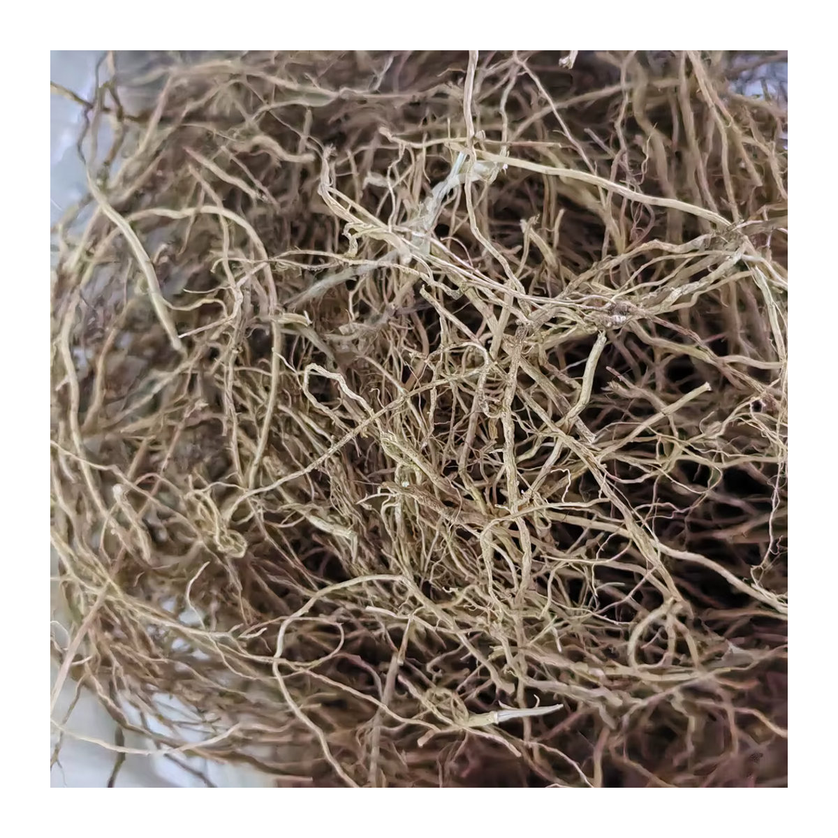 Rivercense Vetiver Räucherwerk aus getrocknetem Chrysopogon zizanioides Gras, 50 g, Braun - Bild 4