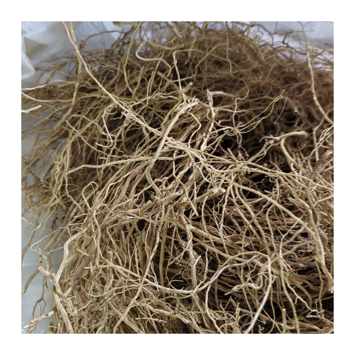 Rivercense Vetiver Räucherwerk aus getrocknetem Chrysopogon zizanioides Gras, 50 g, Braun - Bild 5