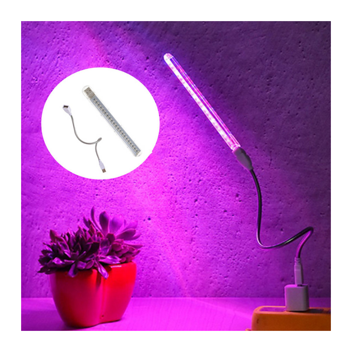 RnnTuu LED-Wachstumslicht für den Innenbereich mit rotem und blauem Licht für Pflanzen und Hydrokultur - Bild 1