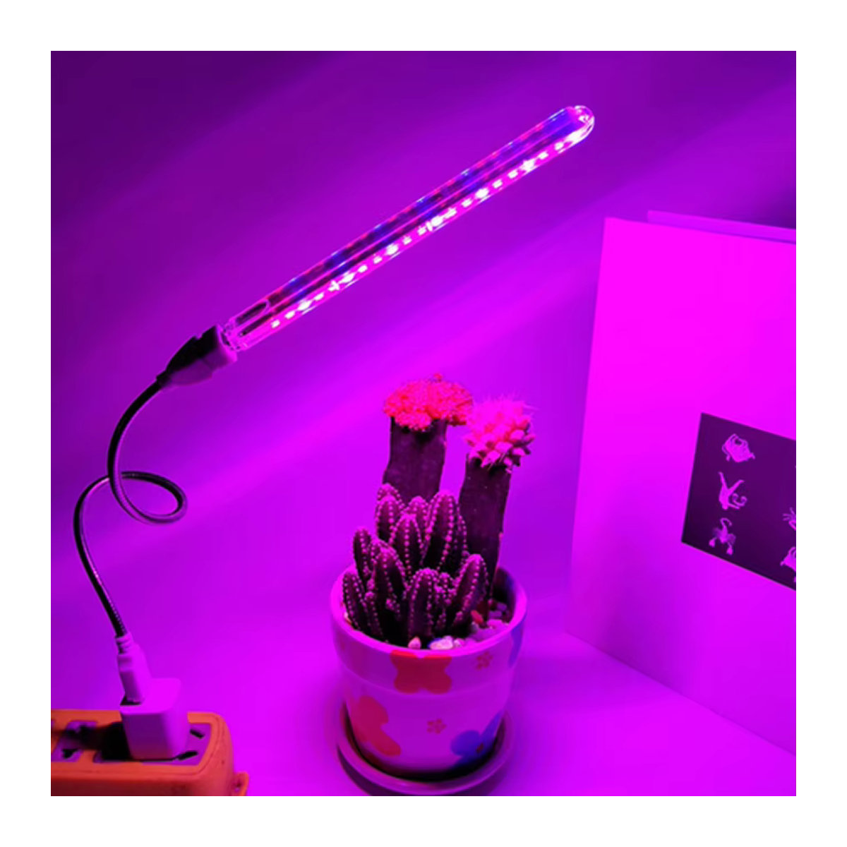 RnnTuu LED-Wachstumslicht für den Innenbereich mit rotem und blauem Licht für Pflanzen und Hydrokultur - Bild 2