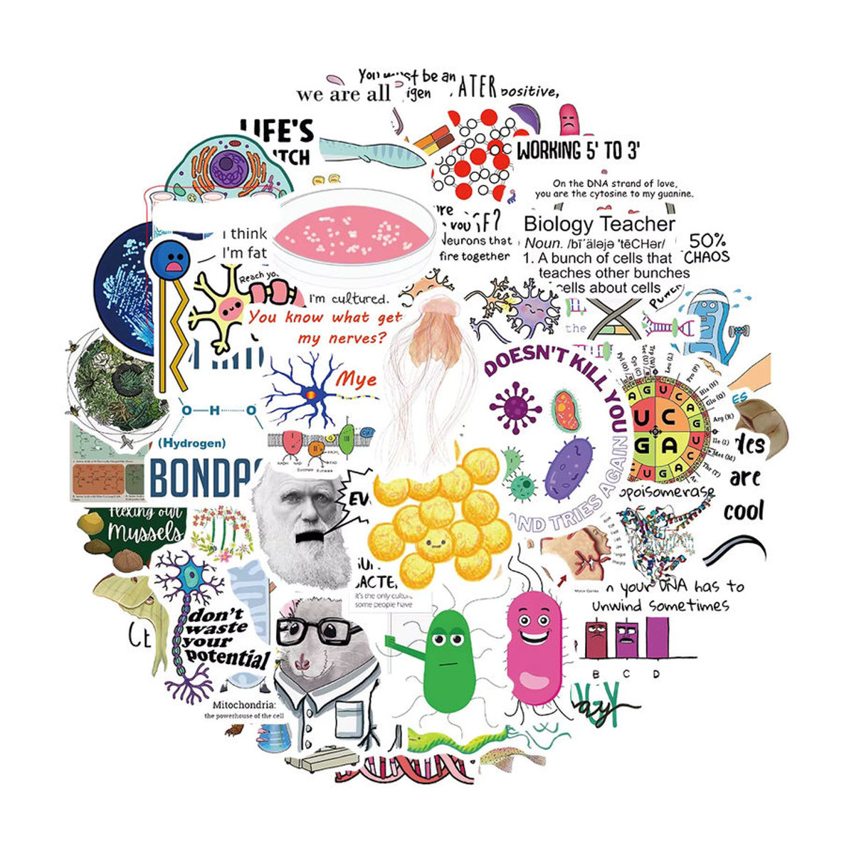 Rspctou Biologie Labor Aufkleber Set Bunt Wasserdichte Ästhetische Sticker für Laptop Skateboard und Auto - Bild 2