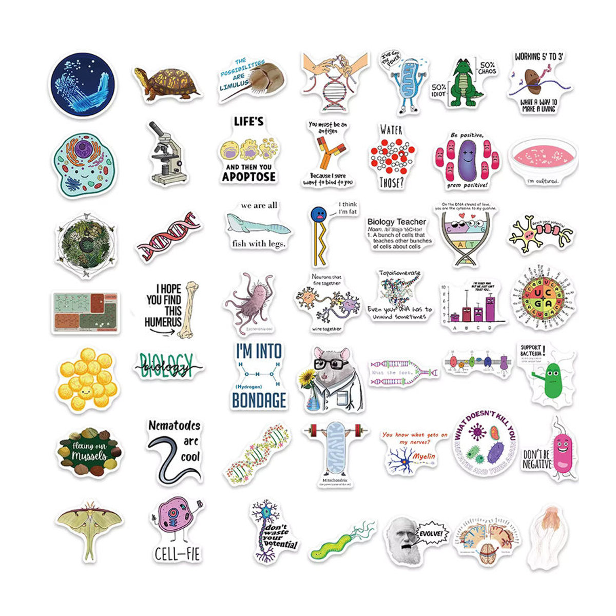 Rspctou Biologie Labor Aufkleber Set Bunt Wasserdichte Ästhetische Sticker für Laptop Skateboard und Auto - Bild 3