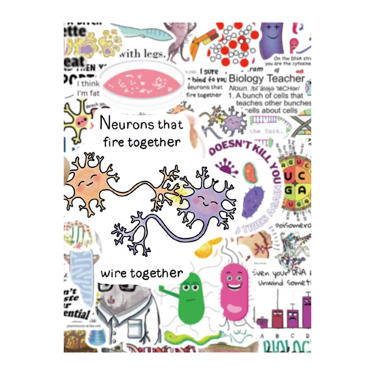Rspctou Biologie Labor Aufkleber Set Bunt Wasserdichte Ästhetische Sticker für Laptop Skateboard und Auto - Bild 5