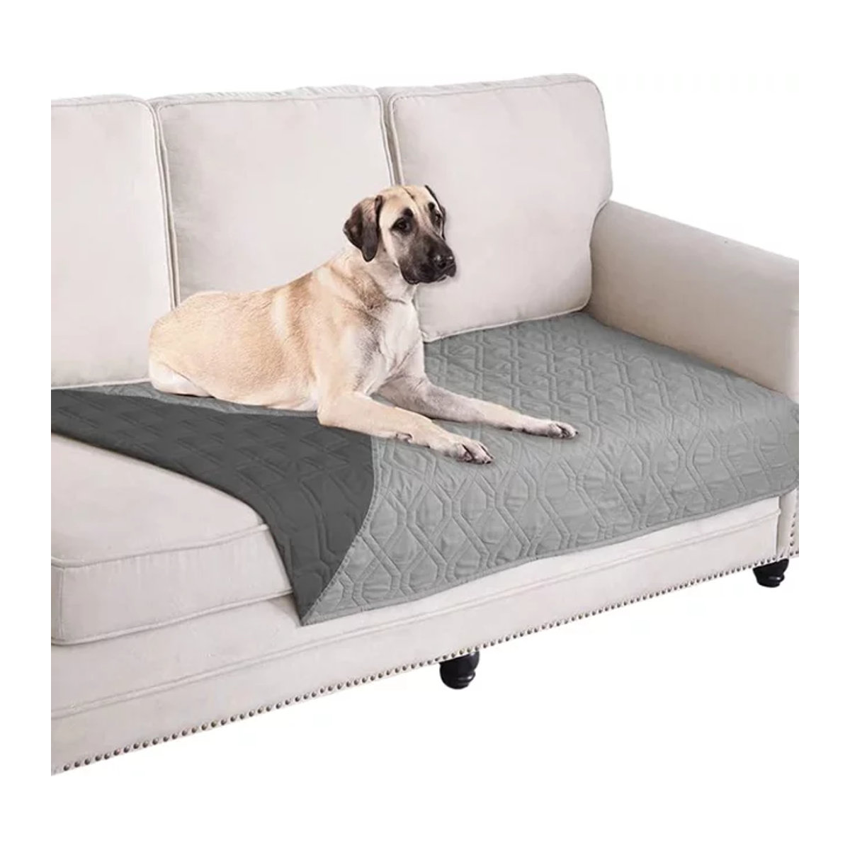 Rutschfeste Hundebettdecke und Haustierdecke in Schwarz als Matratzenschoner und Sofa-Schutzmatte für Couch und Auto - Bild 1