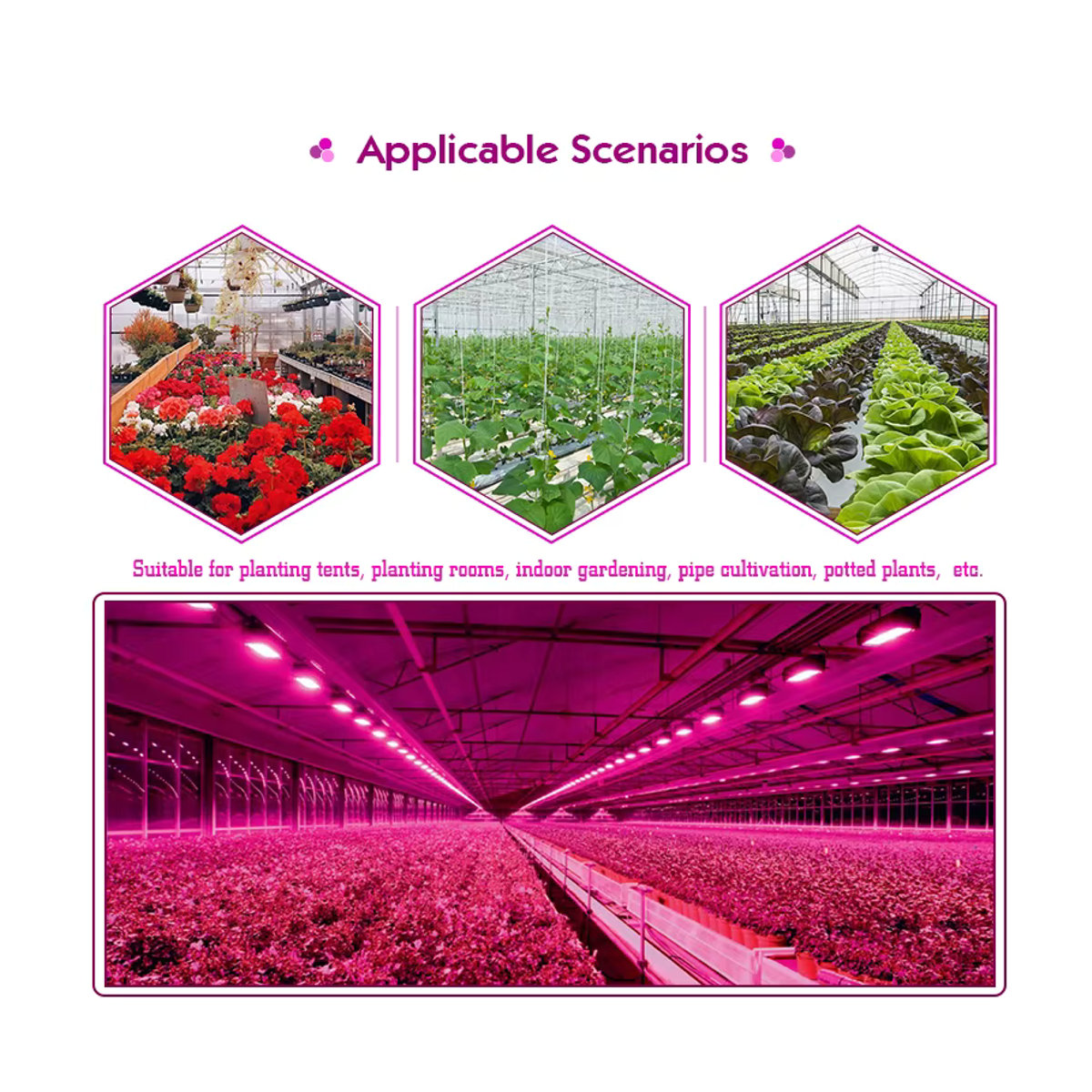 RXMAX LED-Pflanzenlampe Vollspektrum Phyto-Lampe mit Steuerstecker für Indoor-Grow-Zelt, 100W, Grow Light - Bild 4
