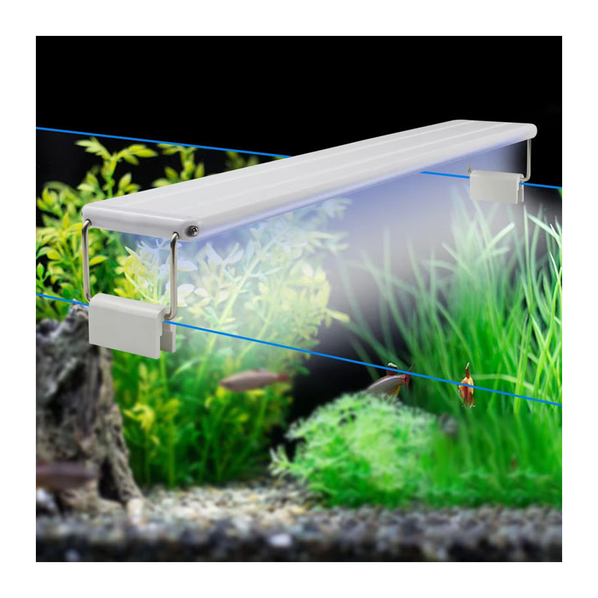 Rybakov Minimalistisch Aquarium Beleuchtung Weiß und Blau Wasserdicht für Aquarien von 18 bis 48 cm Länge - Bild 4