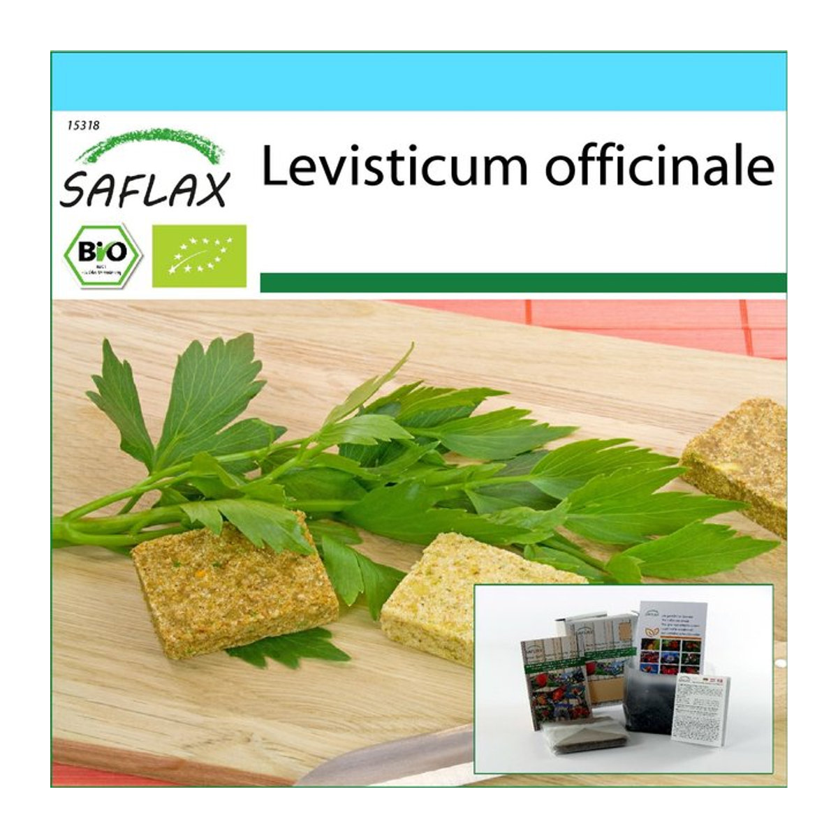 SAFLAX Bio Liebstöckel Geschenkset mit 100 Samen, Geschenkbox, Karte, Etikett und Topfsubstrat (Levisticum officinale) - Bild 1