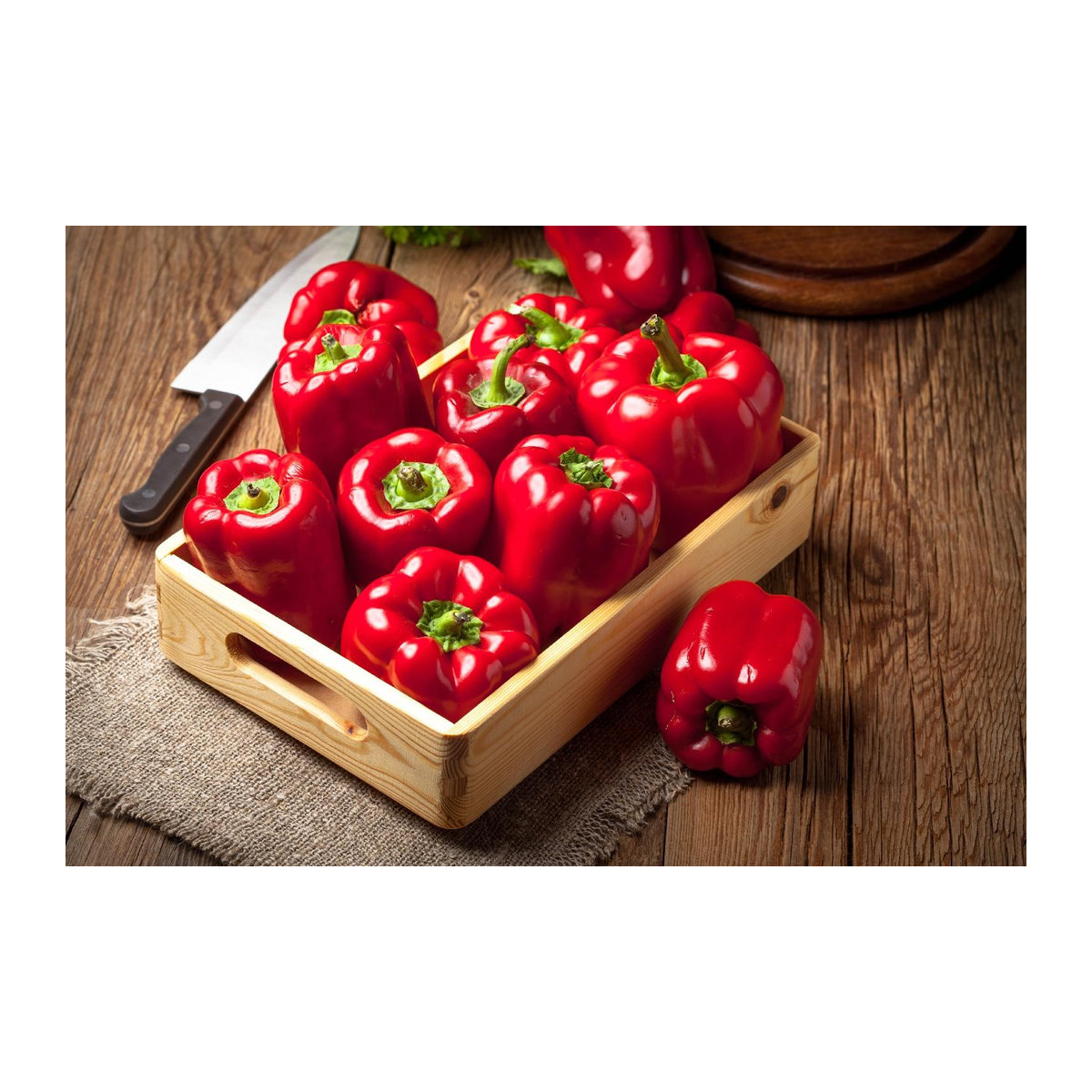 SAFLAX Bio Paprika California Wonder Red Capsicum annuum 20 Samen - Bild 3