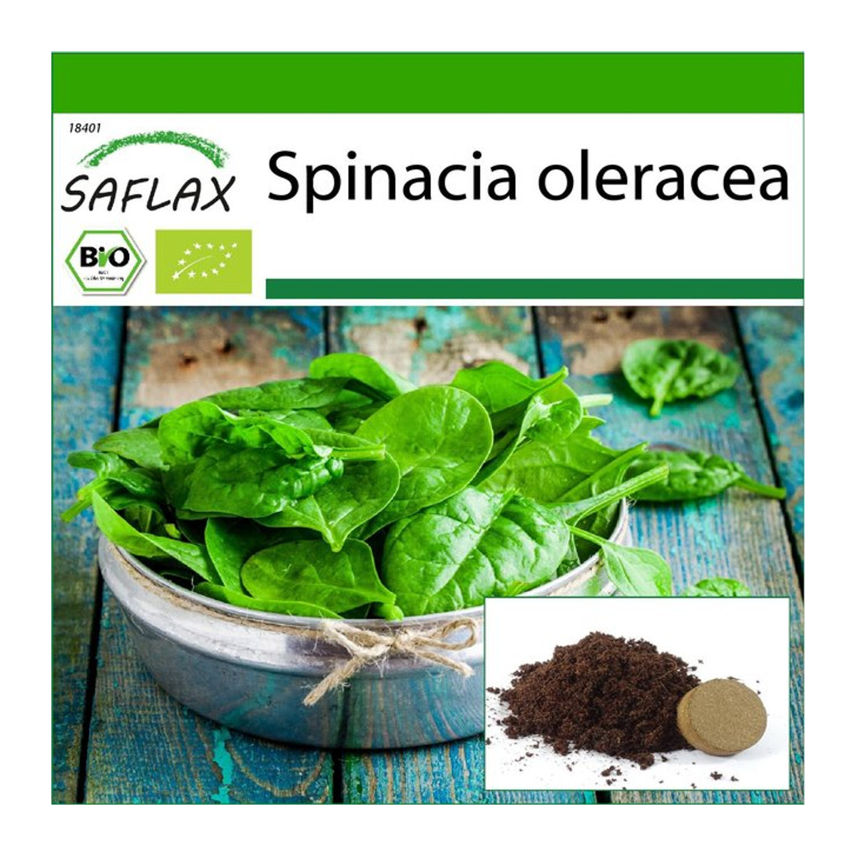 SAFLAX Bio Spinat Giant Winter Spinacia oleracea mit Topfsubstrat, 250 Samen - Bild 1