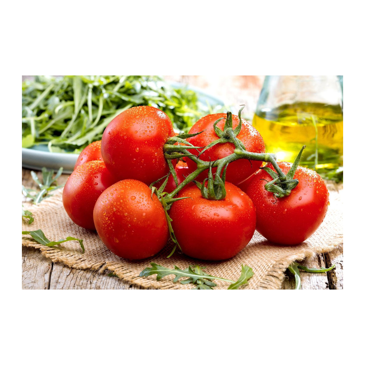 SAFLAX Bio Tomate Matina Solanum lycopersicum mit Topfsubstrat 10 Samen - Bild 4