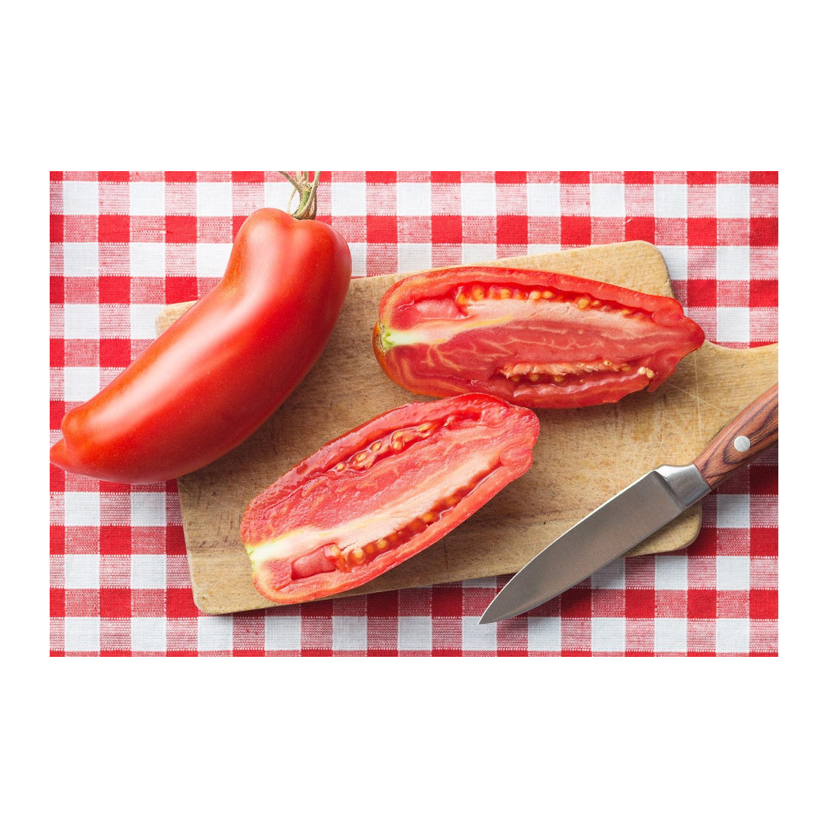 SAFLAX Bio Tomaten San Marzano Samen Set mit Substrat im Standbodenbeutel, 15 Samen - Bild 7