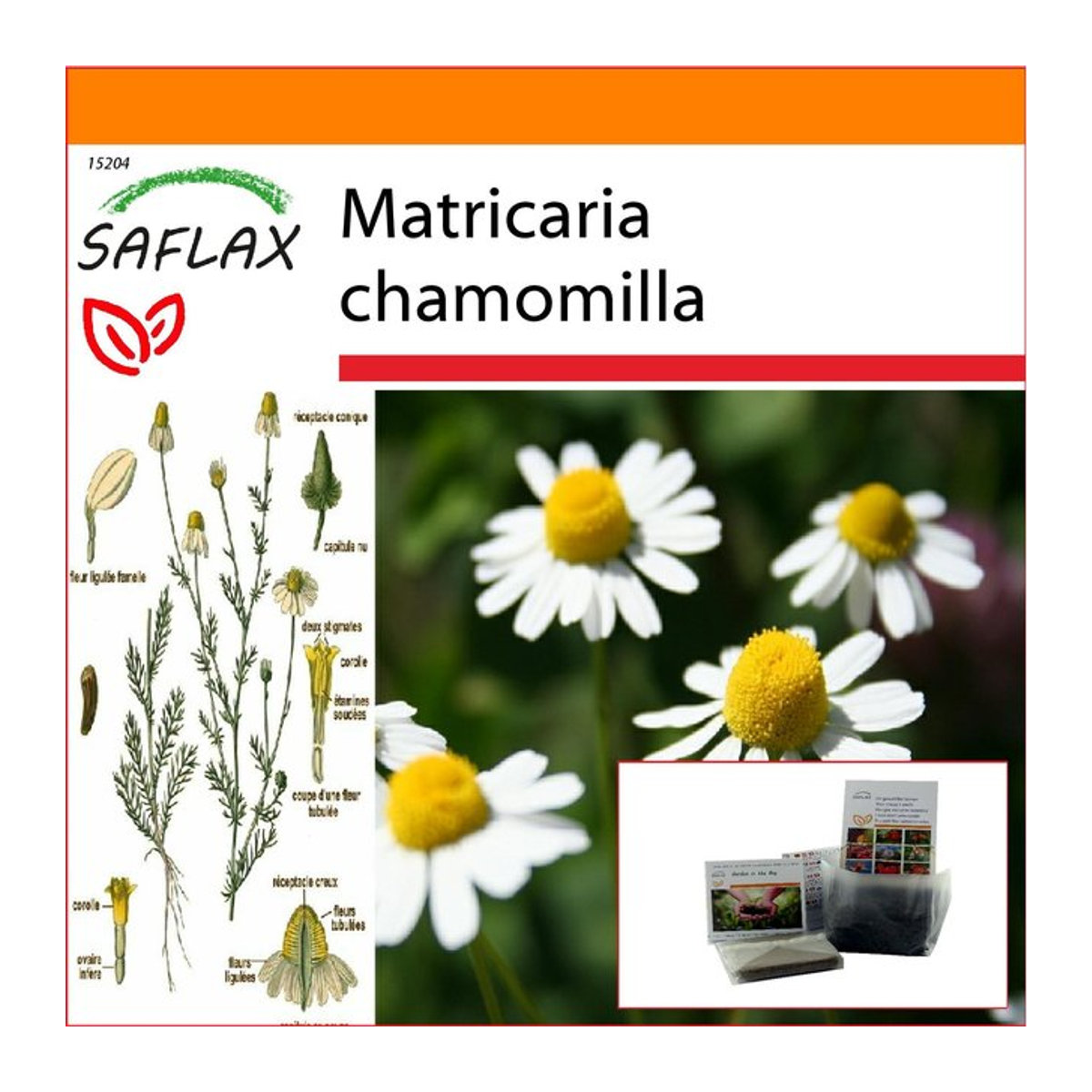 SAFLAX Garden in the Bag Matricaria chamomilla Kamille mit 300 Samen und Substrat im Standbodenbeutel - Bild 1