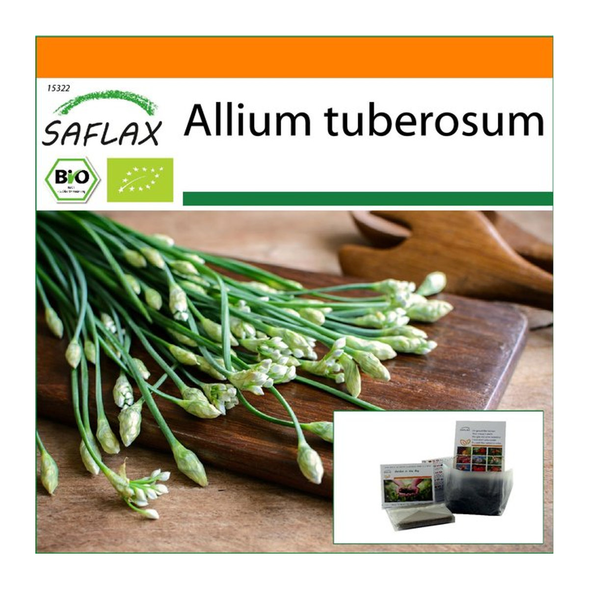 SAFLAX Garten im Beutel Bio Knoblauch-Schnittlauch Allium tuberosum 100 Samen mit Substrat - Bild 1