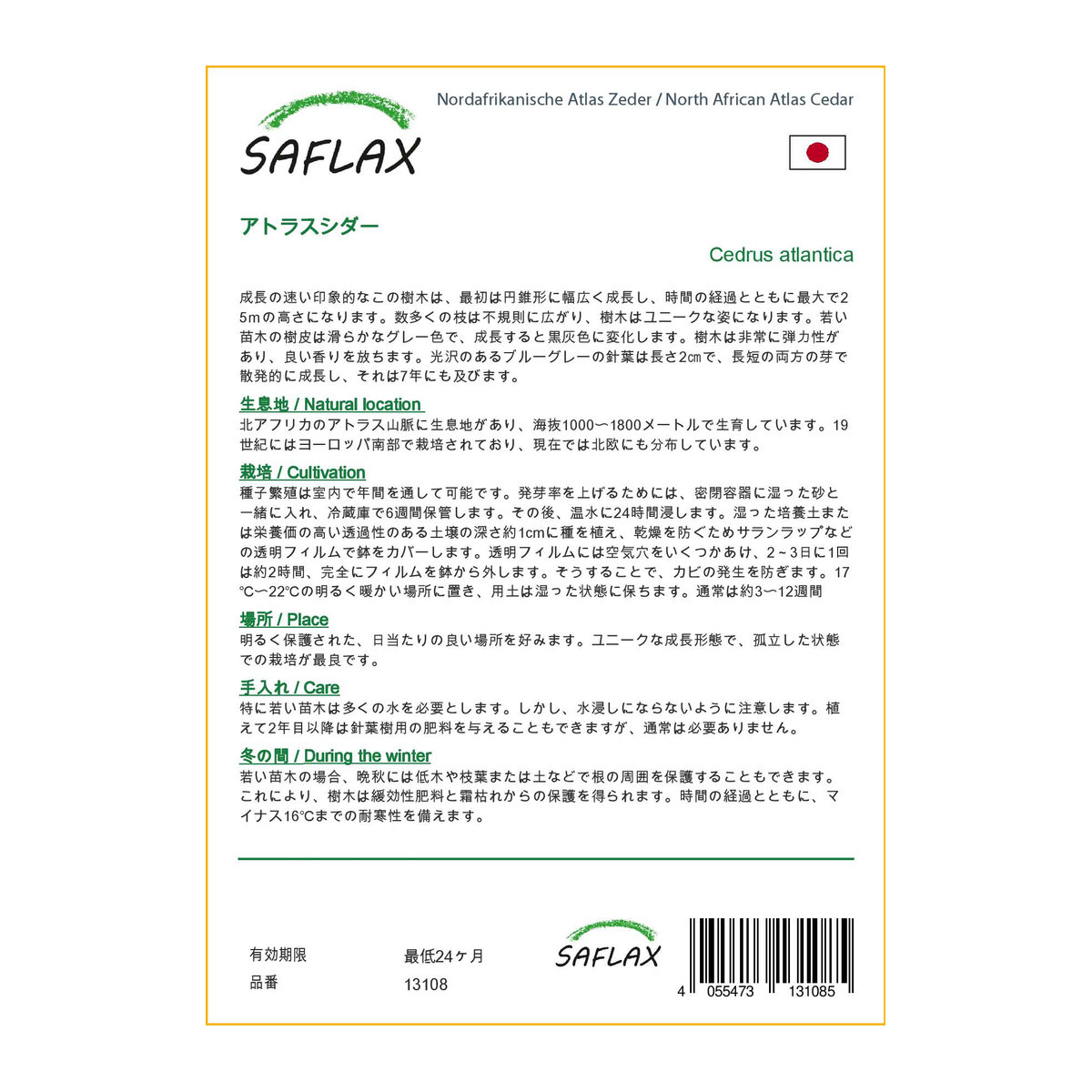 SAFLAX Geschenkset Nordafrikanische Atlaszeder Cedrus atlantica mit 20 Samen, Blumenerde und Geschenkbox - Bild 2