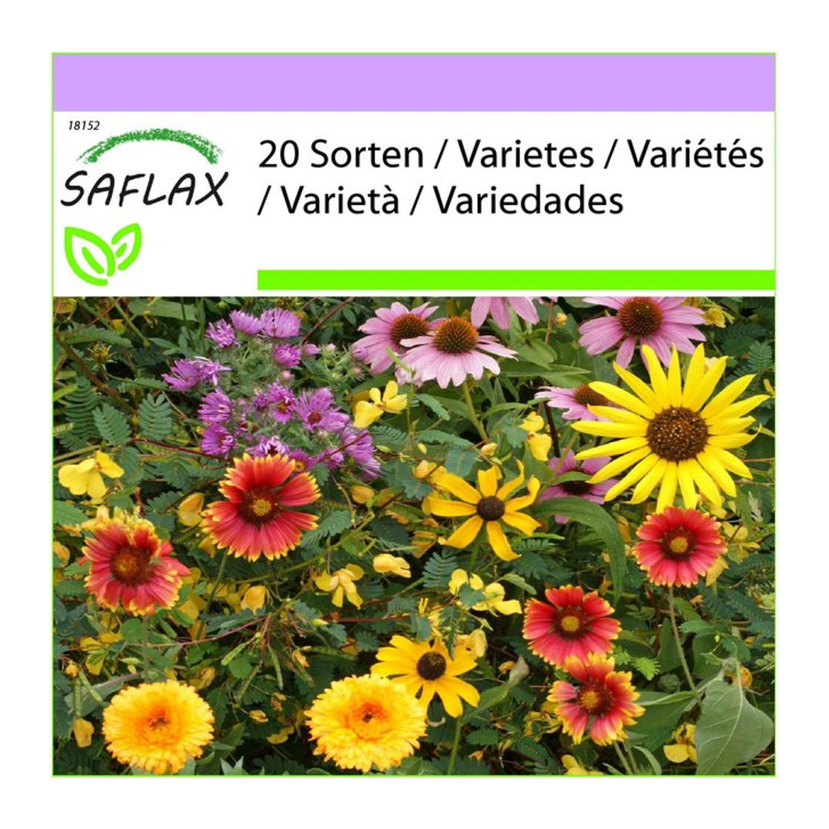 SAFLAX Wildblumenmischung für Vogelliebhaber mit 20 Sorten und 1000 Samen - Bild 1