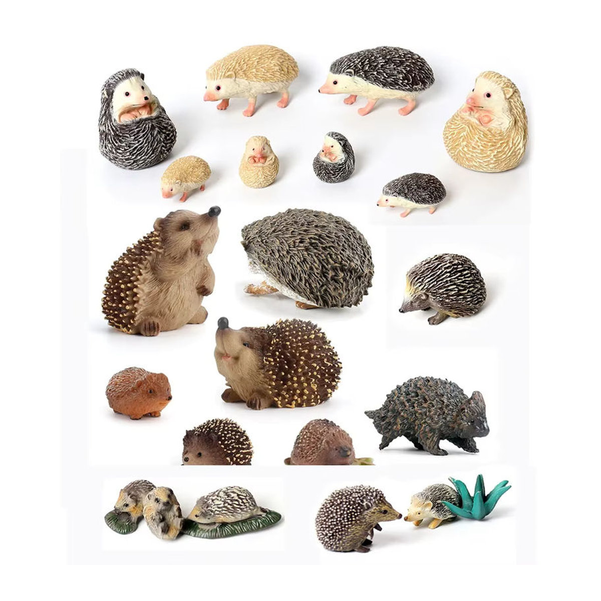 SamKaLa Wild Life Tierfiguren Set aus Kunststoff, Realistische Igel und Ameisenbären Figuren in Mehrfarbig, Kognitives Spielzeug und Desktop Dekoration für Kinder - Bild 5
