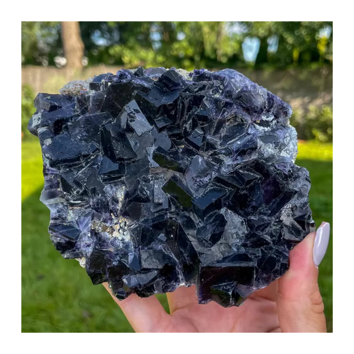 Schwarzer Fluorit-Kristallcluster mit schwarzem Quarz von CrystalHola - Bild 2