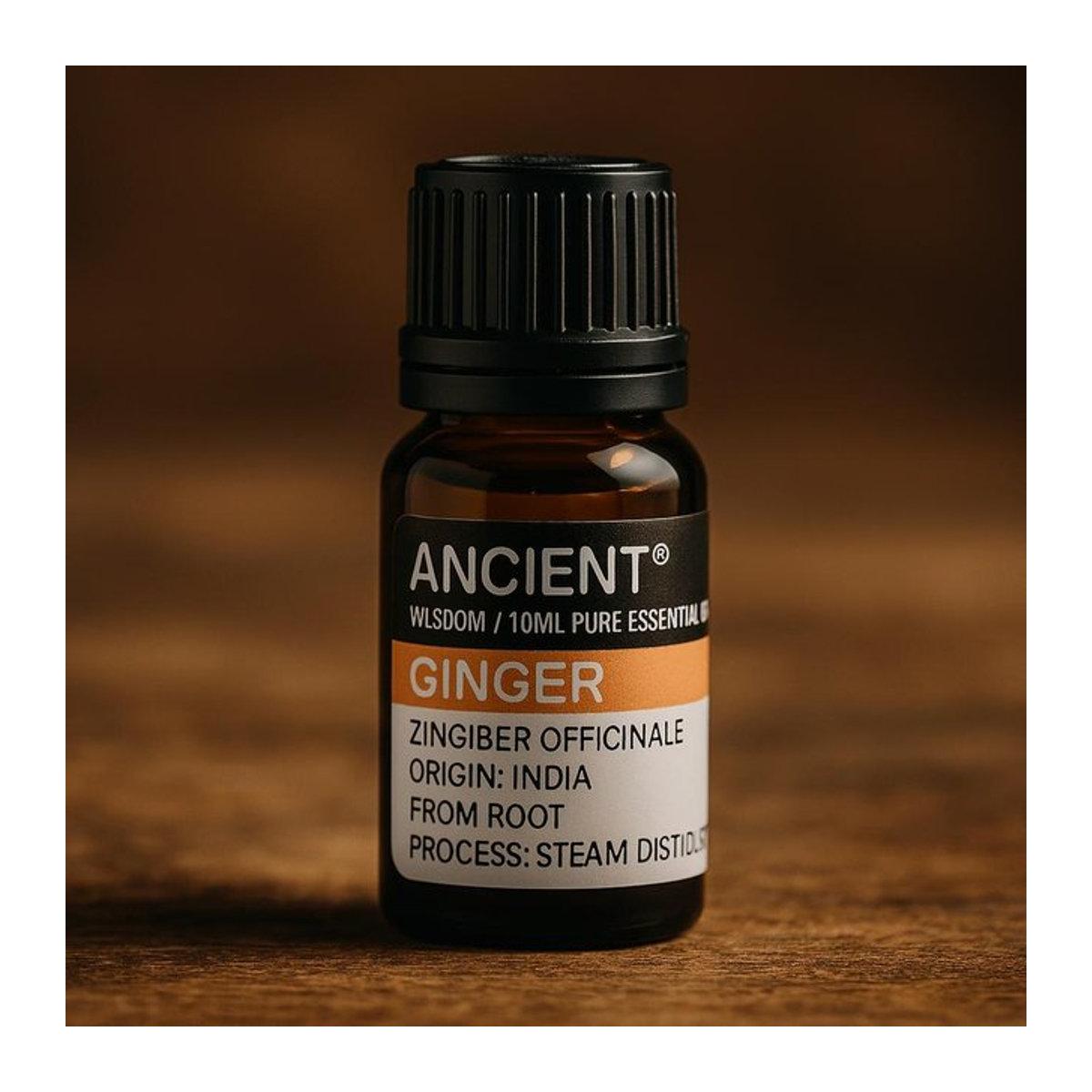 SHAMTAM Ätherisches Ingwer Öl, dampfdestilliert, 10 ml - Bild 1