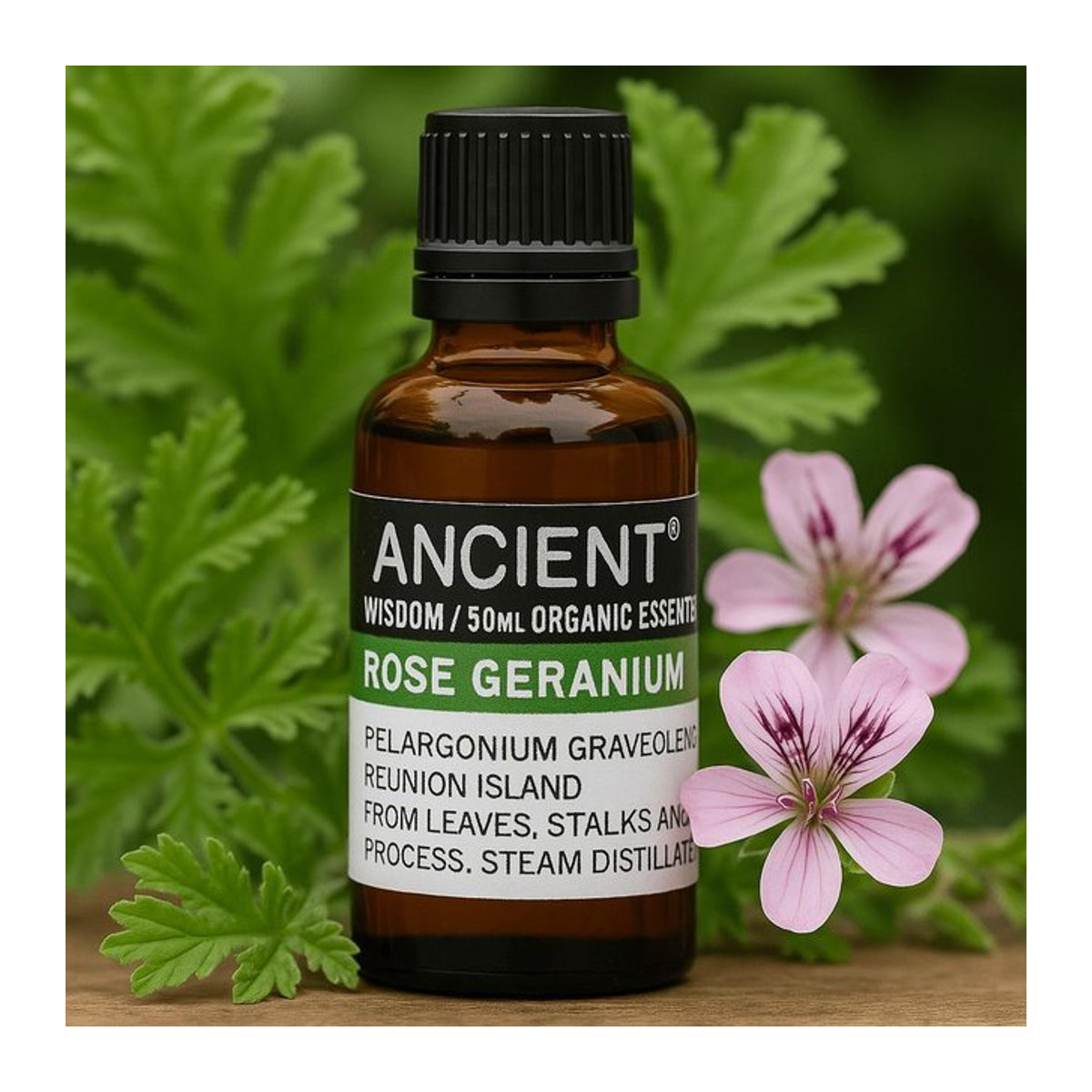 SHAMTAM Bio Rosengeranie Ätherisches Öl mit floralen und Zitrusnoten 50 ml - Bild 1