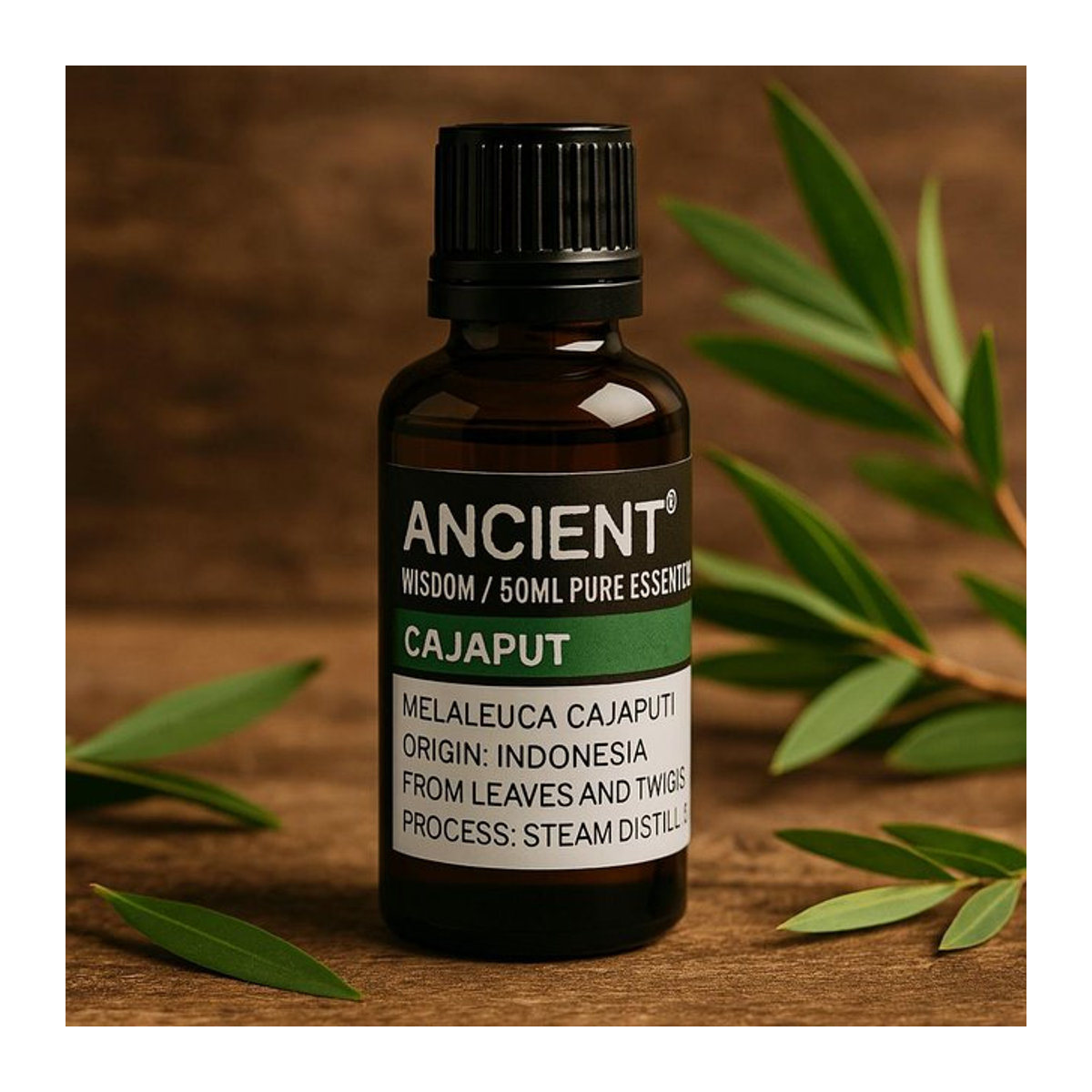 SHAMTAM Cajeput ätherisches Öl, 50 ml, Wasserdampfdestilliert mit Kampfer- und grünen Kräuternoten - Bild 1