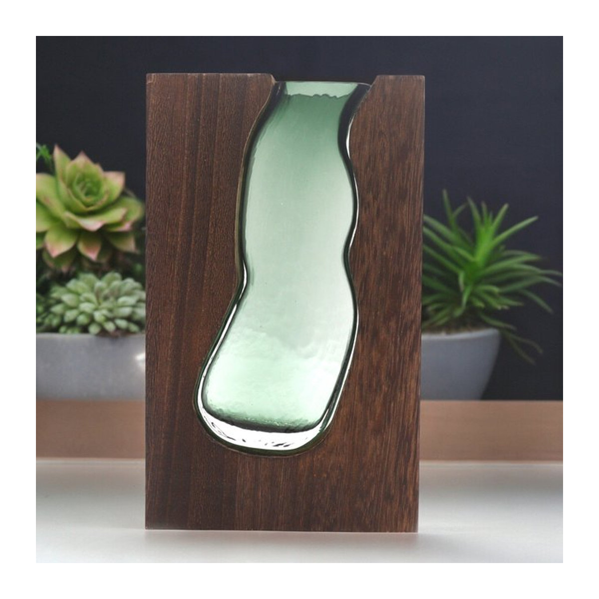 SHAMTAM Glas-Terrarium mit hellgrüner Akzentuierung und dunkler Tung-Holzbasis für Rückflusskegel - Bild 1