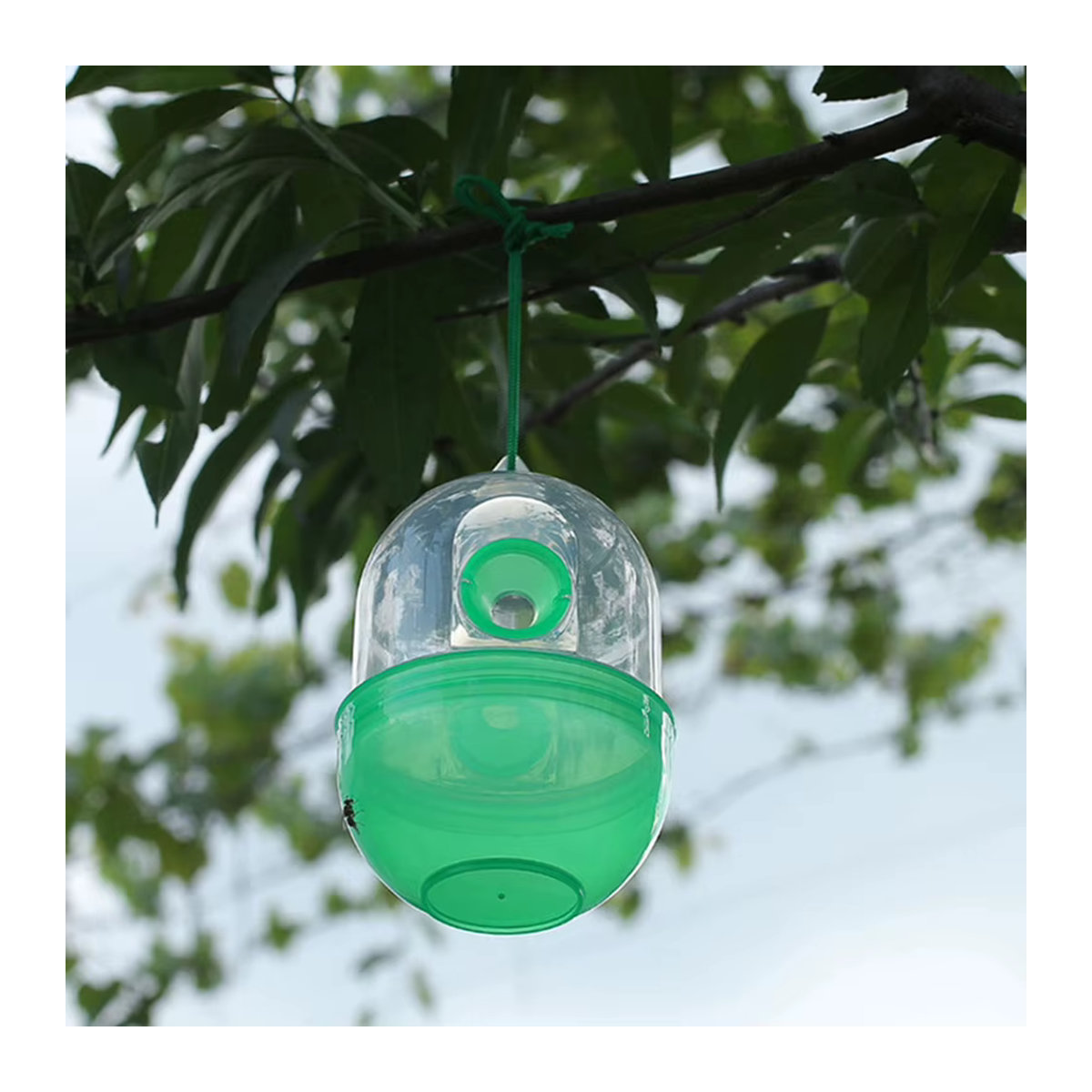 Shunmaii Hängende Wespenfalle Gelb zur Insektenkontrolle für Hausgarten und Obstgarten - Bild 6