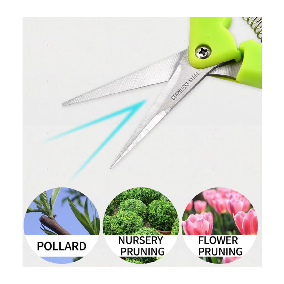 Skeyo Gartenschere zum Beschneiden und Pflücken von Zweigen und Obst - Bild 2