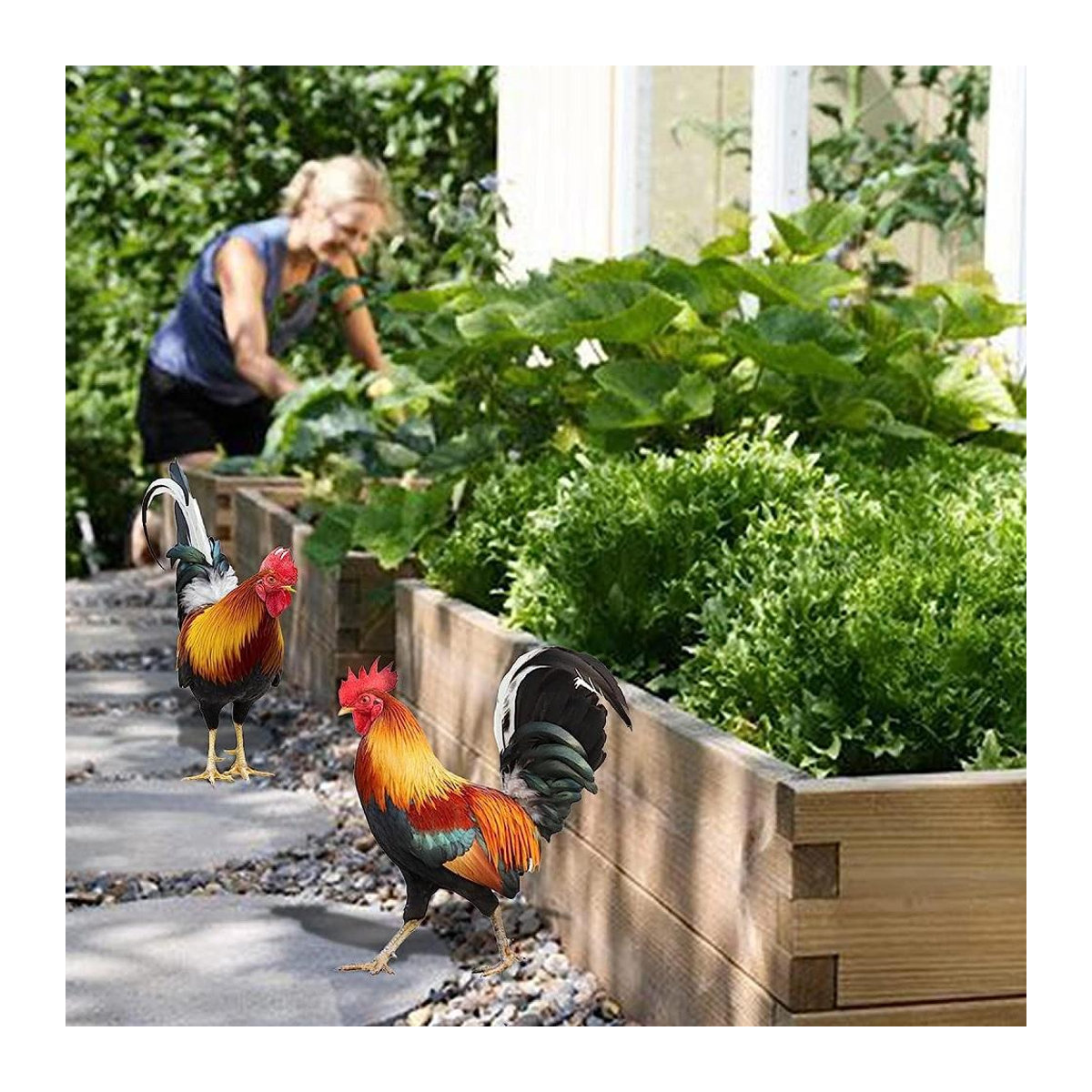 Skyfree Hahn Hühner Statue Set für die Outdoor Garten und Hof Dekoration als Kunstfigur Skulptur - Bild 5