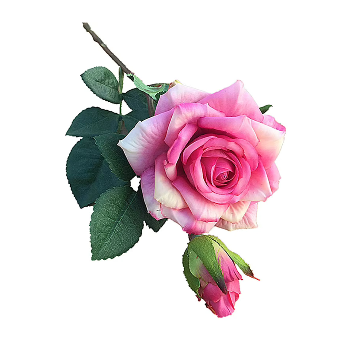 Smr Künstliche Seidenrosen in Blau für Tischdekoration, Hochzeit und Garten - Bild 2