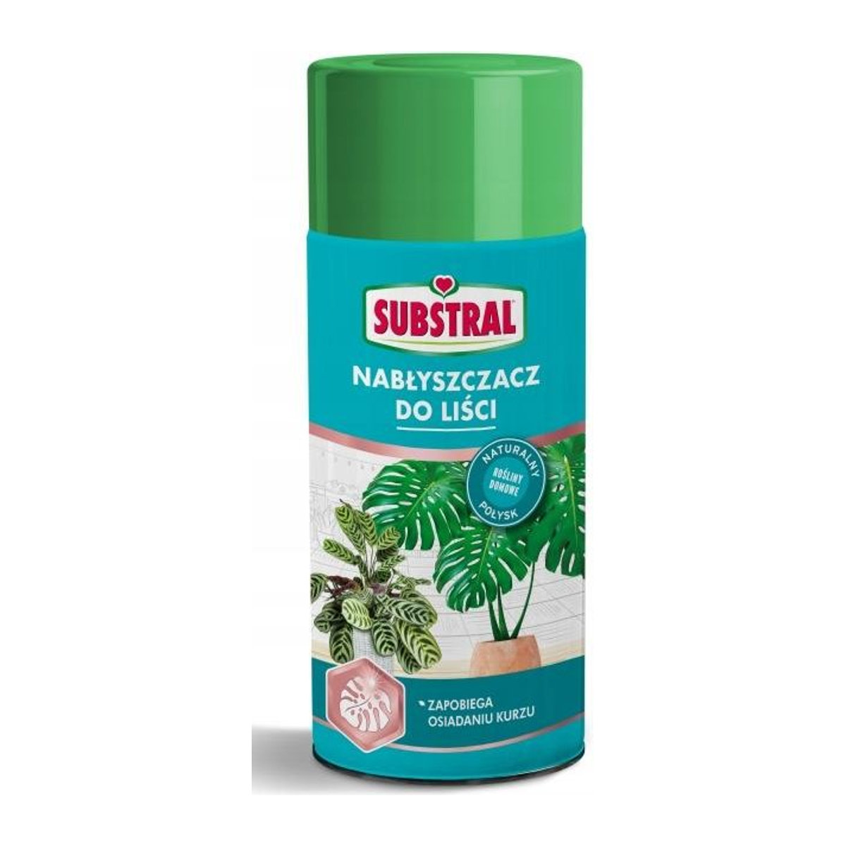 Substral Zimmerpflanzen-Glanzspray 200 ml - Bild 1