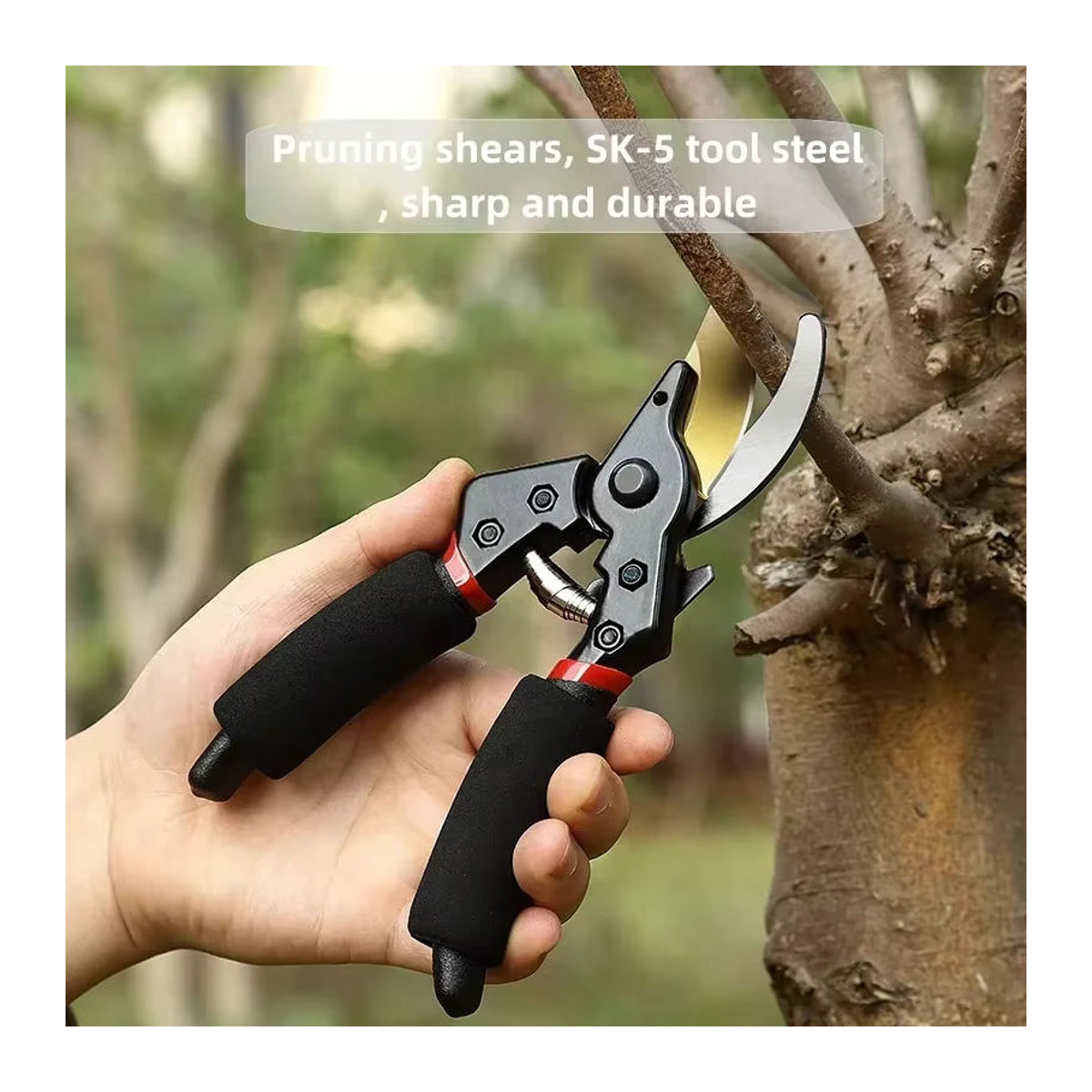 SUITU SK5 Obstbaumschere Gartenschere zum Schneiden von Zweigen und Blumen sowie zum Obstpflücken für den Außenbereich - Bild 4