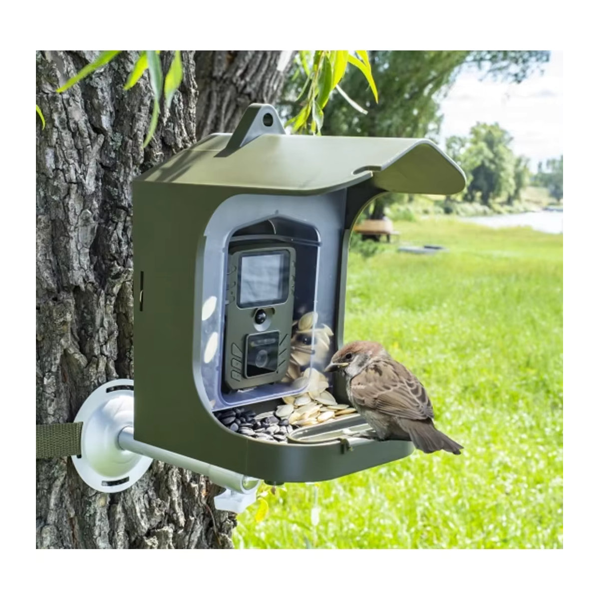 Suntekcam Vogelbeobachtungskamera BC-303 Überwachungskamera mit Bewegungssensor für kleine Tiere und Vogelfutterstation für den Außenbereich - Bild 6