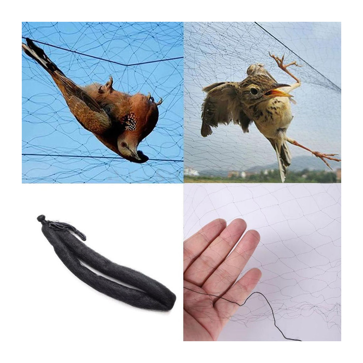 taihaowan Vogelschutznetz aus Kunststoff zur Schädlingsbekämpfung B: 20 m, L: 3 m - Bild 2
