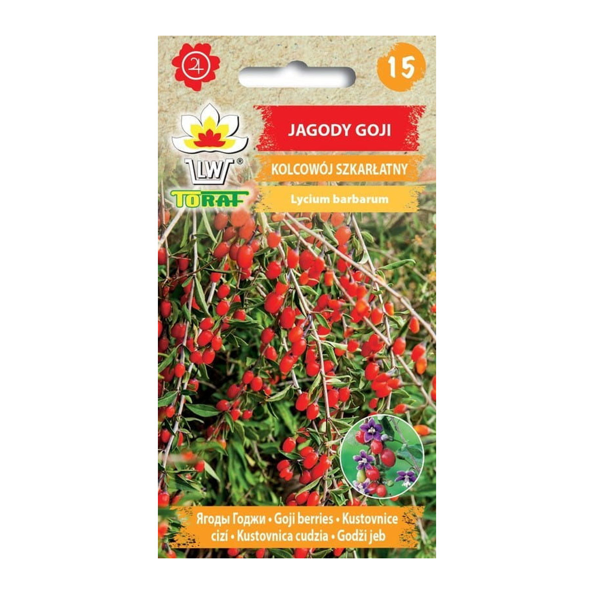 TORAF Goji-Beeren Blumensamen für den Garten mit großem Ertrag - Bild 2