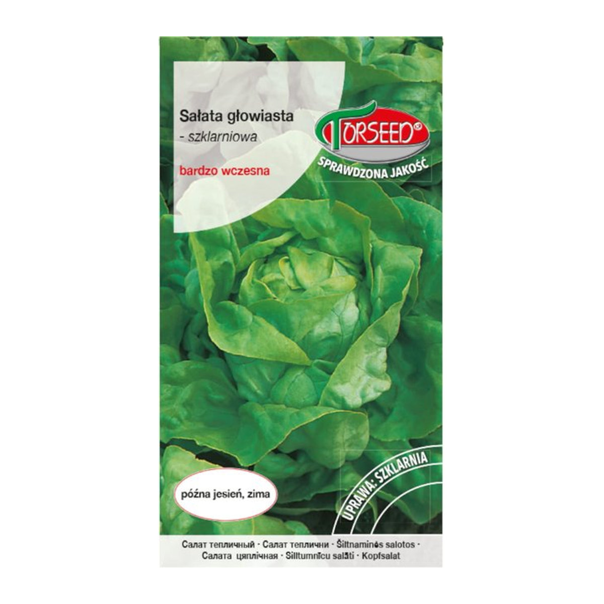 TORSEED Atena-Kopfsalat Premium Gemüsesamen 1g - Bild 1