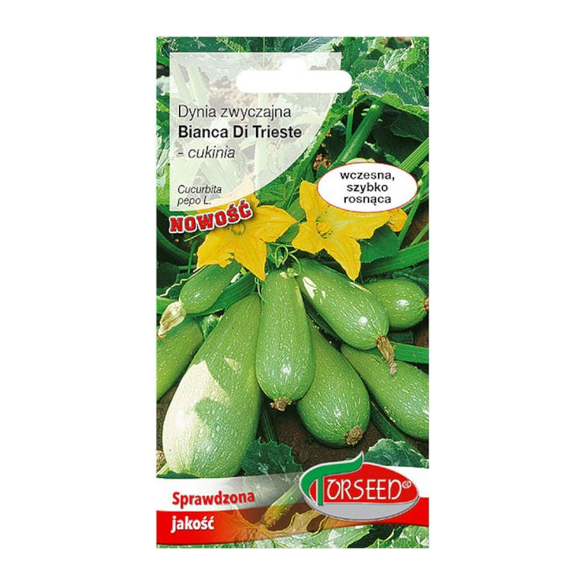 Torseed Kürbis Zucchini Bianca Di Trieste Gemüsesamen Premium 2g - Bild 1